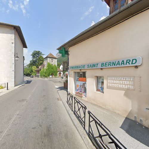 LE SAINT-BERNARD à Menthon-Saint-Bernard