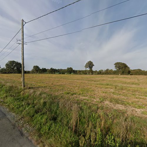 Mon coza à Chemiré-le-Gaudin