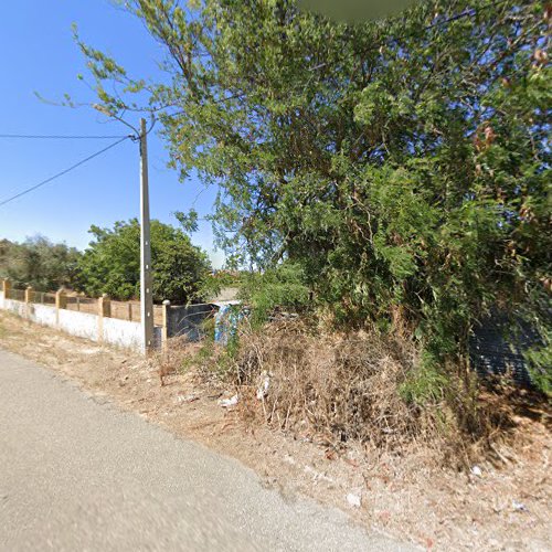 Loja de materiais de construção Ribeiro Esteves-materiais De Construção Lda Tremês