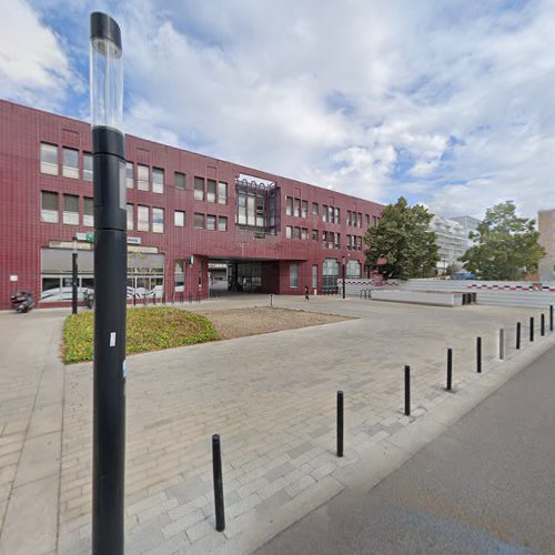 EVOLTIS Conseil - conseil en orientation scolaire et professionnelle à Montigny-le-Bretonneux