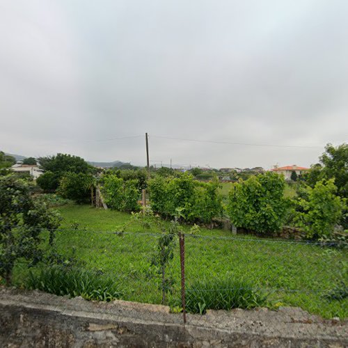 Tib - Tinturaria De S. Pedro, Lda. em Vila Frescainha (São Pedro)