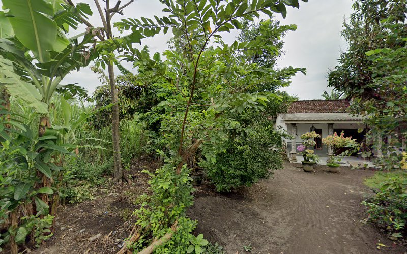 Agrikultur di Jawa Timur: Menjelajahi Peluang di Lebih dari Satu Tempat