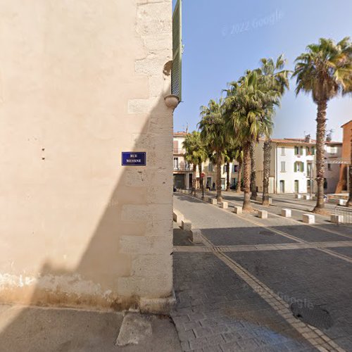 Les Oiseaux De Provence à La Seyne-sur-Mer