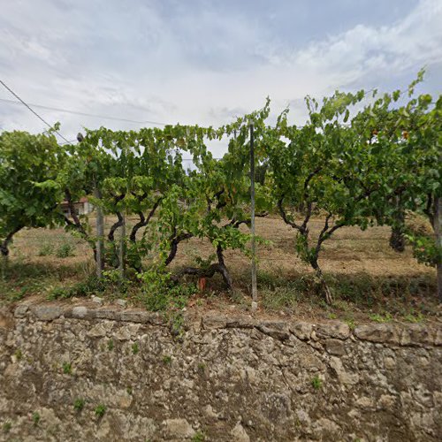 Alberto Simões & Filhos, Lda. em Figueiró dos Vinhos