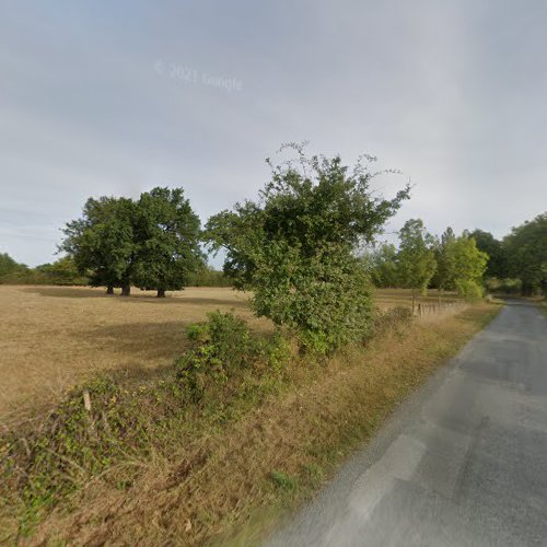 Chemin de l ajonc à Bressuire