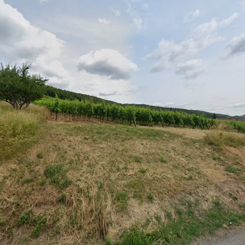 Amis de la nature du val d'Orbey à Zimmerbach