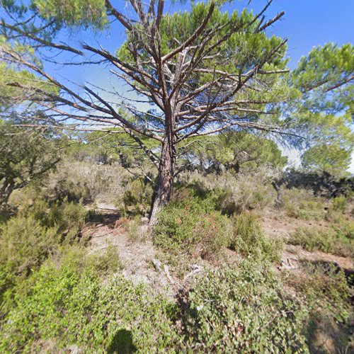 CY à Ramatuelle