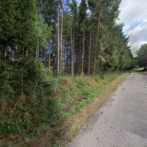 Cimetière Friedhof Bertrambois