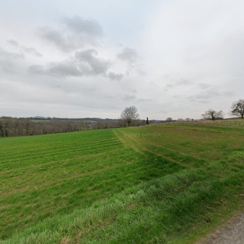 Lanciaux Thibault à Foulayronnes