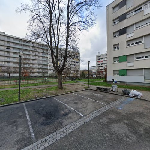 jardin partagé sous le soleil à Strasbourg