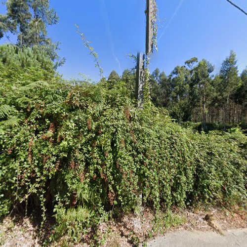 Stelicorte - Com.Ferramentas De Corte E Maquinas Para Madeira, S.A. em Argoncilhe