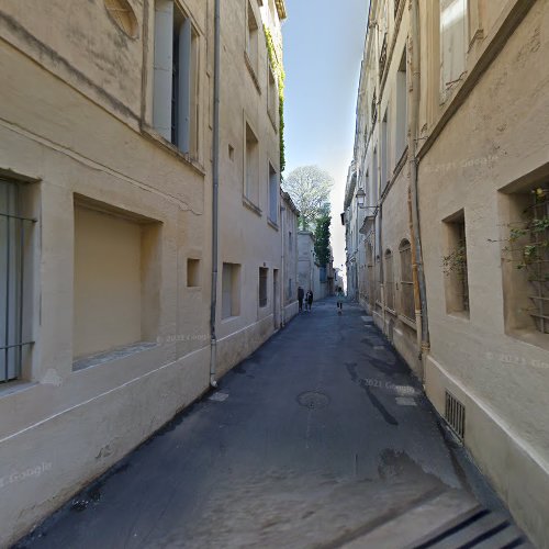 Siège social TURTLE DOVE Montpellier
