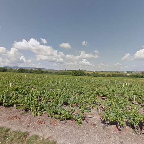 Domaine des Pierres Roses Thibault Liger-Belair à Romanèche-Thorins