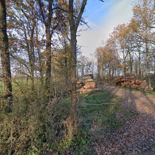 Magasin de bois de chauffage Etablissements Giteau Mozé-sur-Louet