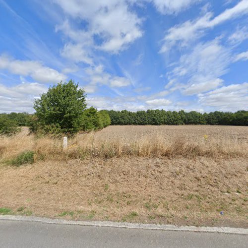 Clinique vétérinaire Clinique vétérinaire des Saulniers La Guerche-de-Bretagne