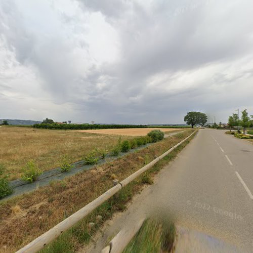 VOL PELLE à Pont-de-l'Isère