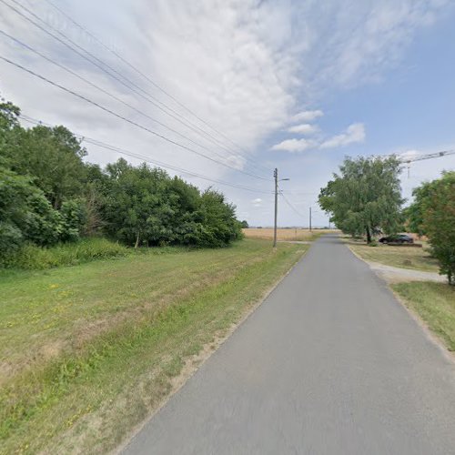 Cimetière Mennonite à Buhl-Lorraine