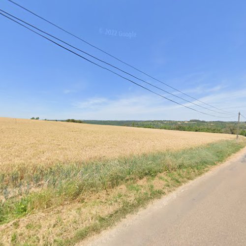 Vigne à Plombières-lès-Dijon