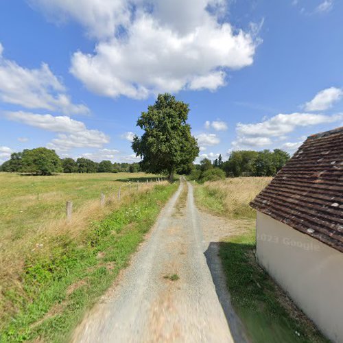 Racine et Patrimoine Mezeray à Mezeray