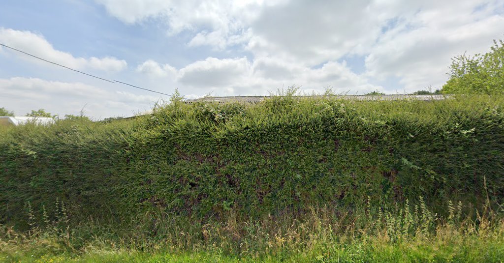 Renault à Le Bourgneuf-la-Forêt