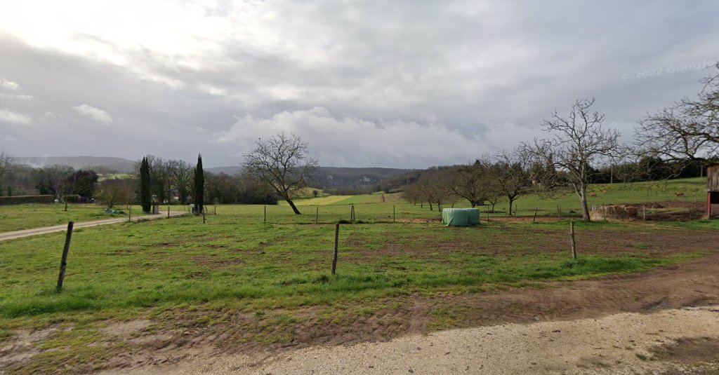 168 Route Château de Montfort à Vitrac (Dordogne 24)