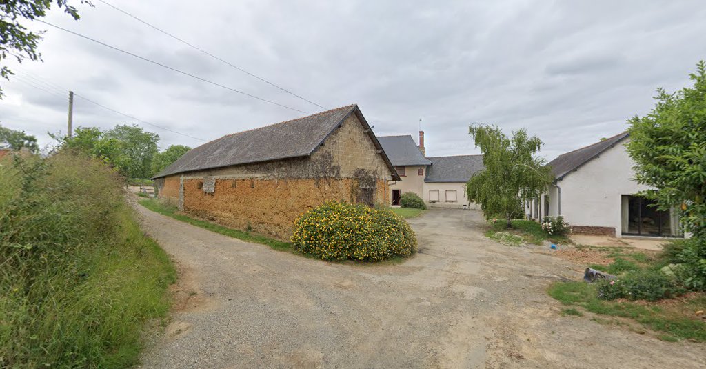 Renault Gabriel à Saint-Grégoire