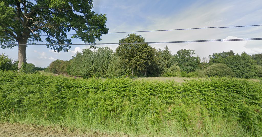 Etang de Jackson à Lévaré