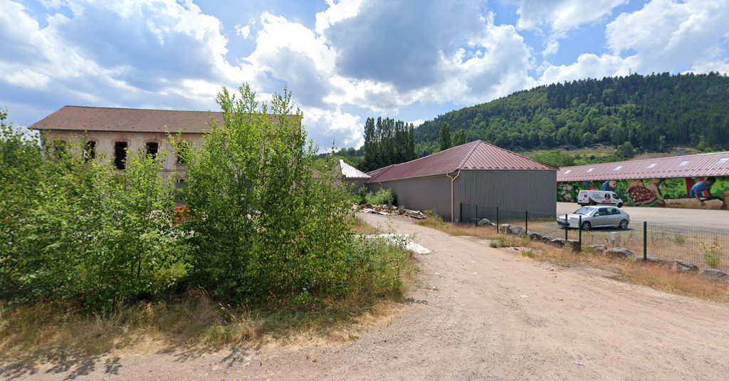 Vosges Utilitaire à Granges-Aumontzey