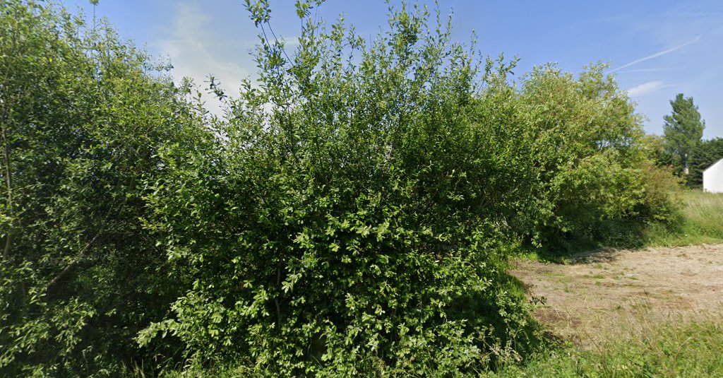 Huet Sophie à Illiers-Combray