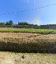 Friedhof Luvigny