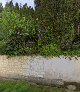 Cimetière communal à Castelnau-d'Arbieu Castelnau-d'Arbieu