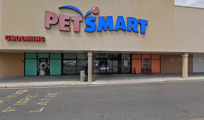 PetSmart Grooming