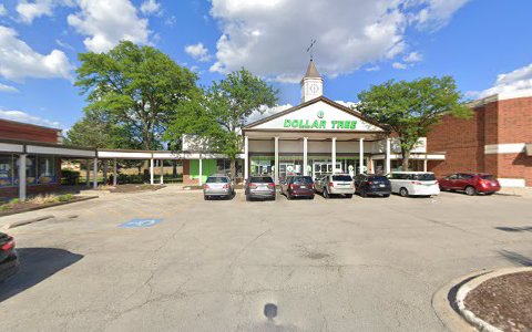 Dollar Store «Dollar Tree», reviews and photos, 1061 S York Rd, Bensenville, IL 60106, USA