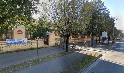 Scuole secondarie a Livorno: ecco le migliori opportunità educative nella città toscana
