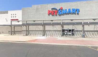 PetSmart Doggie Day Camp