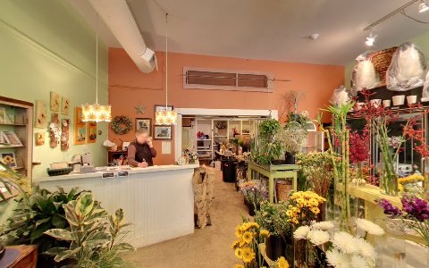 Florist «Southport Blooms», reviews and photos, 3717 N Southport Ave, Chicago, IL 60613, USA