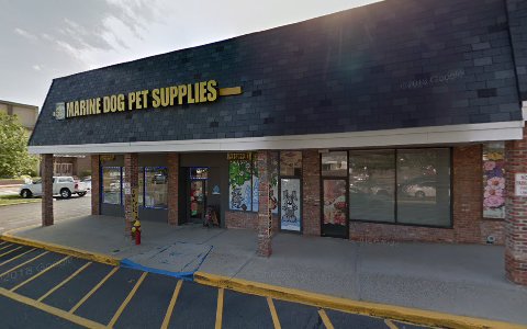 Pet Supply Store «Marine Dog Pet Supplies», reviews and photos, 1350 Hicksville Rd, Massapequa, NY 11758, USA