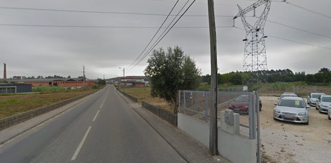 R. Principal da Murta 138, 3770-216 Oliveira do Bairro, Portugal