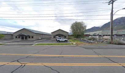 Dogs To Dolls Pet Grooming