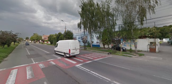 Strada 22 Decembrie 1989 150, Târgu Mureș 540445, România