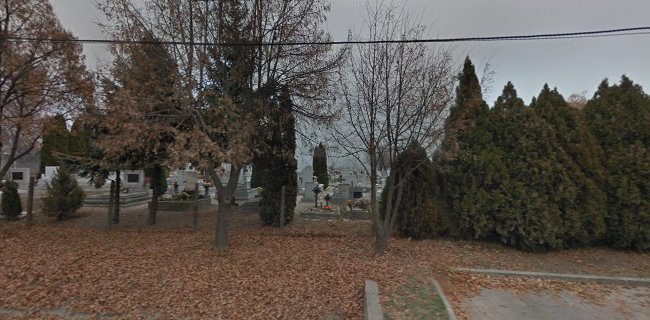 Értékelések erről a helyről: Kisfaludi temető, Székesfehérvár - Temetkezési vállalkozás