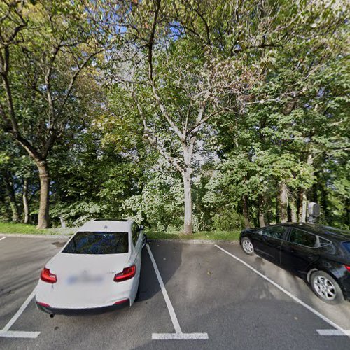Borne de recharge de véhicules électriques Tesla Destination Charger Évian-les-Bains