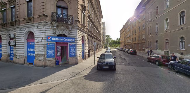 Budapest, Diószegi Sámuel utca 50, 1089 Magyarország