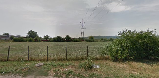 Șoseaua Bacăului, Vaslui, România