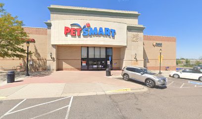 PetSmart Dog Training