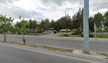 Atatürk Stadı