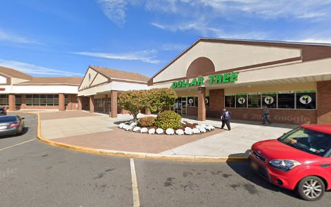 Dollar Store «Dollar Tree», reviews and photos, 1245 Middle Country Rd, Middle Island, NY 11953, USA