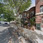 Magnificent Sycamore, 1609 Union St, Brooklyn, NY 11213