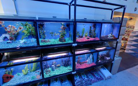 Pet Supply Store «Niagara Aquarium Co Inc», reviews and photos, 1345 Military Rd, Buffalo, NY 14217, USA