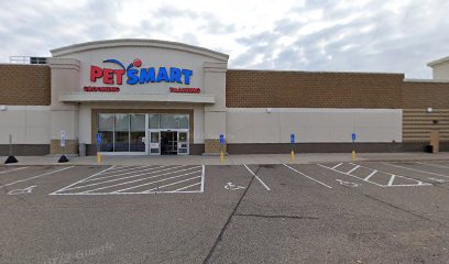 PetSmart Dog Training